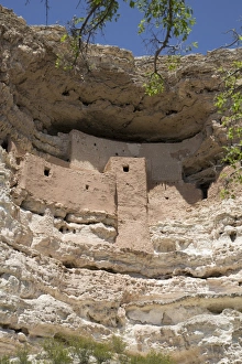 Cliff dwelling of Southern Sinagua farmers, built in the early 1100s CE (Common Era), a five storey, 20 room structure, Montezuma Castle National Monument, Arizona, United States of America, North America