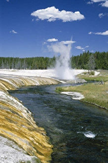 Overflowing Prints: Cliff Geyser erupts from geyserite bank on edge of