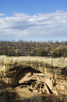 Cliff palace ruins in Mesa Verde containing some of