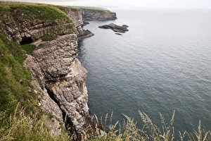 Cliff Top Prints: Cliffs at Fowlsheugh Nature Reserve