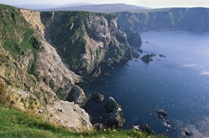 Cliffs of Hermaness National Nature Reserve