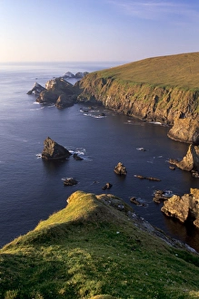Cliffs of Hermaness Nature Reserve