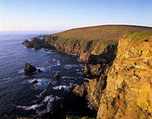 Cliffs of Hermaness Nature Reserve
