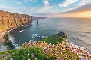 Landscapes Collection: Cliffs of Moher at sunset, with flowers in the foreground, Liscannor, County Clare
