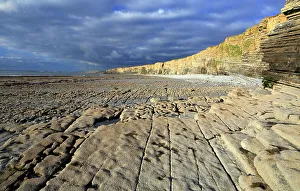 South Wales Prints: Cliffs at Nash Point, Glamorgan Heritage Coast, South Wales, United Kingdom, Europe