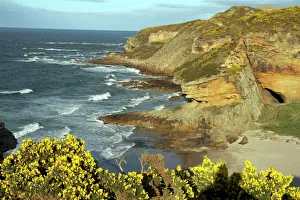 Sea Cliffs Prints: Cliffs near Findhorn on the Morayfirth, Scotland, United Kingdom, Europe