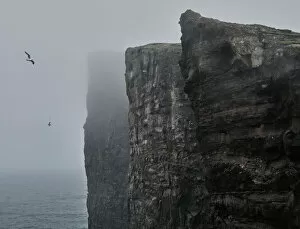 Ethereal Gallery: Cliffs of Traelanipa above the ocean, Faroe Islands, Denmark, Europe