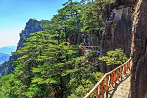 Walkway Prints: Cliffside walkway offers views of trees and mountains at Huangshan UNESCO site in Anhui Province China