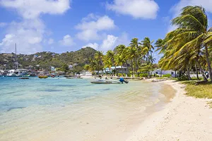 Arecaceae Prints: Clifton Harbour, Union Island, The Grenadines, St. Vincent and The Grenadines, West Indies