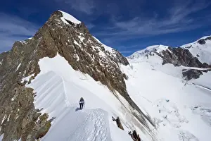 View From Behind Prints: Climber on snow ridge, Aiguille de Bionnassay on the route to Mont Blanc