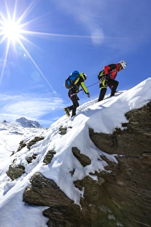 Rock Climbing Prints: Climbers on the rocks with the snowy peaks of the Alps in the background, Stelvio Pass