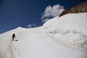 Climbing Mount Cevedale, 3769 m, Ortler Alps, South Tyrol, Italy, Europe