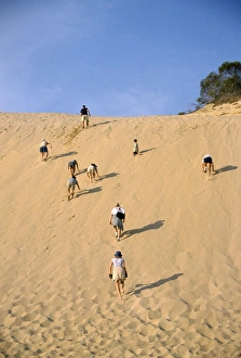 Fraser Island Prints: Climbing sand cliff, Great Sandy National Park, Fraser Island, UNESCO World Heritage Site
