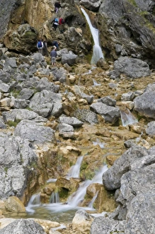 Images Dated 17th October 2009: Climbing up the waterfalls at Goredale Scar at Malham Cove, Malhamdale