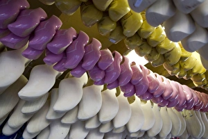 Images Dated 11th May 2008: In the clogs factory, Hoorn, Holland, Europe