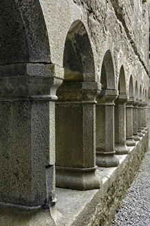 Franciscan Prints: Cloister, Ross Errilly Franciscan Friary