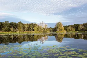 Recreational Prints: Clos de la Loutre (Otter's cottage)