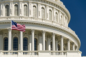 Washington Prints: Close up of the Capitol Building