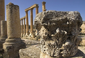 Cardo Maximus Prints: Close up of column capital