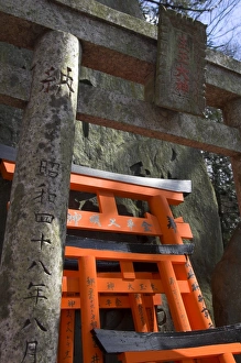 Torii Prints: Close up of orange wooden toriis and stone toriis