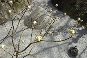 Ohara Prints: Close up with sand motifs of Japanese garden