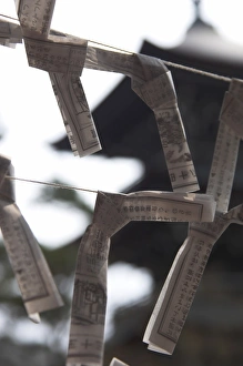 Shinto Prints: Close up of traditional wish and fate papers tied up on line