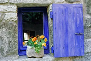 Images Dated 30th July 2008: Close-up of blue shutter, window and yellow pansies, Villefranche sur Mer