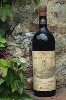Wine Prints: Close-up of a bottle of Badia a Coltibuono wine
