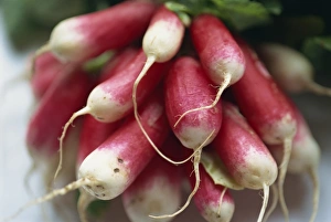Salad Prints: Close-up of a bunch of radishes