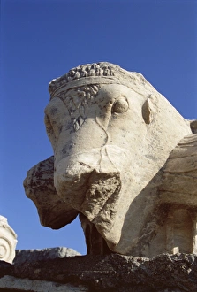 Carve Prints: Close-up of carving