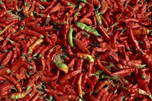Rajasthan Prints: Close-up of chillies, Rajasthan state, India, Asia