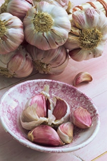 Garlic Prints: Close-up of cloves of garlic in a pink bowl