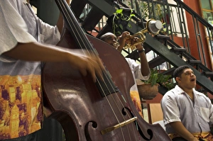 Melody Prints: Close-up of counterbass with trumpet player, part of traditional band playing in a cafe