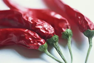 Studio Shot Prints: Close-up of dried chilli peppers