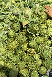 Artichoke Prints: Close-up of globe artichokes on market day