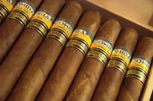 Cuban Prints: Close-up of limited edition cigars in a box, Cohiba, Havana, Cuba, West Indies