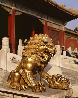 Beijing Prints: Close-up of lion statue, Imperial Palace, Forbidden City, Beijing, China, Asia
