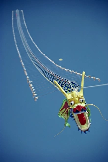Kite Prints: Close-up of low-flying kite