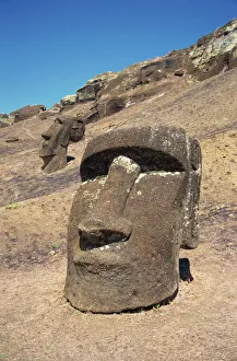 Carved Prints: Close-up of moai heads still within the crater from where they were quarried