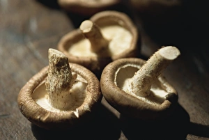 Mushroom Prints: Close-up of mushrooms