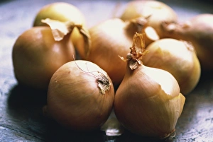 Small Number Of Objects Prints: Close-up of onions