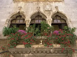 Porec Prints: Close-up of ornate window arches with pots of oxalis and geraniums on the balcony at Porec