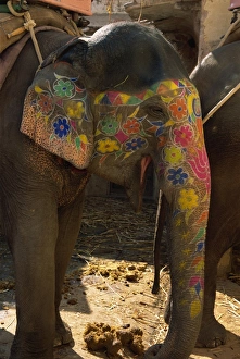 Close-up of a painted elephant
