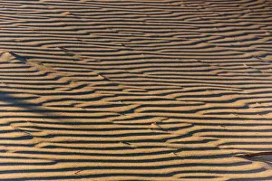 Dunes Prints: Close-Up of Parallel Wind Ripples in Dry Coastal Sand Dune at Sunset, New Zealand