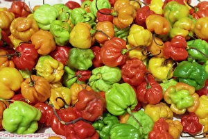 Stall Prints: Close-up of peppers for sale on a food stall