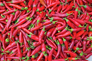 Close-up of red chilies in Nahaufnahme, Osh, Kyrgyzstan, Central Asia