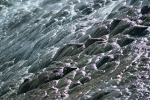 Travertine Prints: Close-up of travertine calcite deposits on the Palette