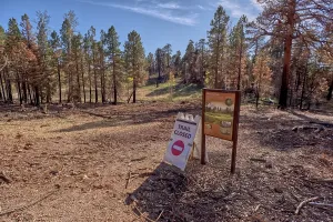 Trail Prints: Closure of Greenland Lake Trail due to damage from Dragon Bravo Wildfire in Grand Canyon North Rim Arizona