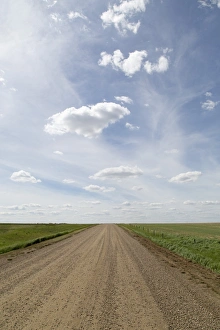 Dirt Track Prints: Clouds and blue sky over a dirt track in the Badlands of Alberta, near Drumheller
