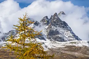 Clouds over the Ober Gabelhorn peak framed by larch trees in autumn, Zermatt, canton